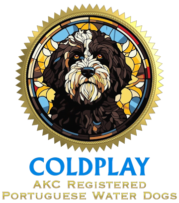 Coldplay PWD Logo Coldplay PWD Logo