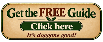 Get the FREE Guide